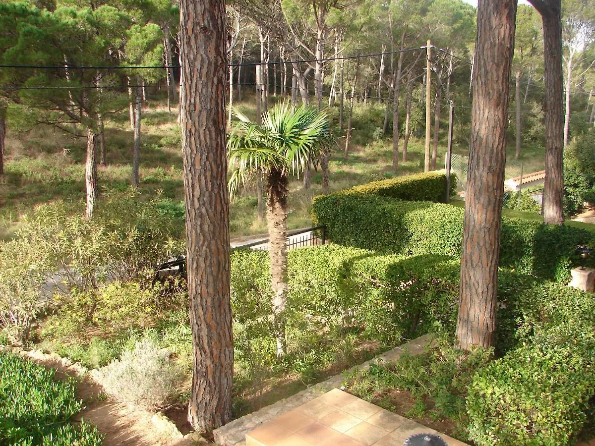 Holiday home Chale Rustico En Playa De Pals Villa